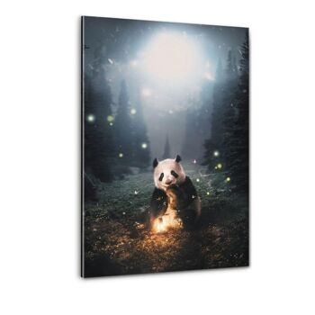 Panda Magique - Toile avec espace d'ombre 16