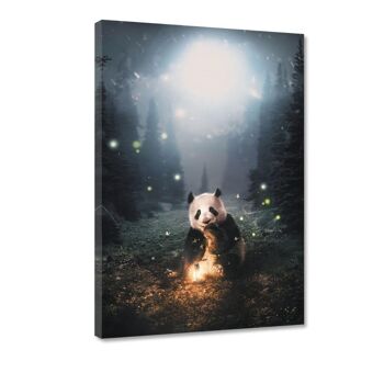 Panda Magique - Toile avec espace d'ombre 4