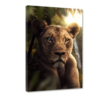 Jungle Lion - Toile avec espace d'ombre 14