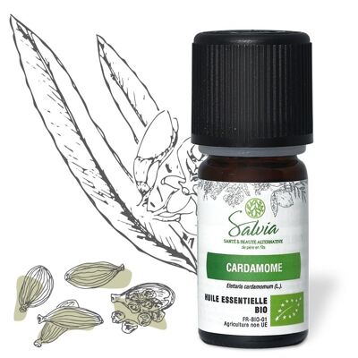 Cardamom - Organic essential oil