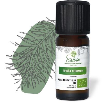 Common spruce - Organic essential oil