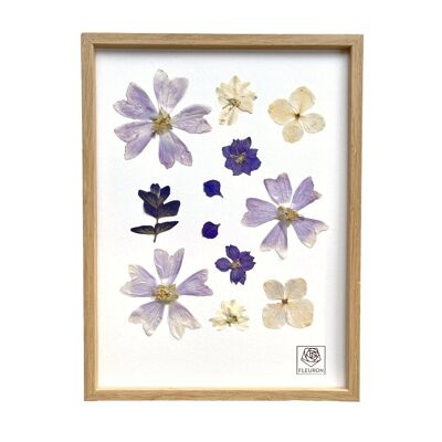 Herbier de fleurs séchées - Azul
