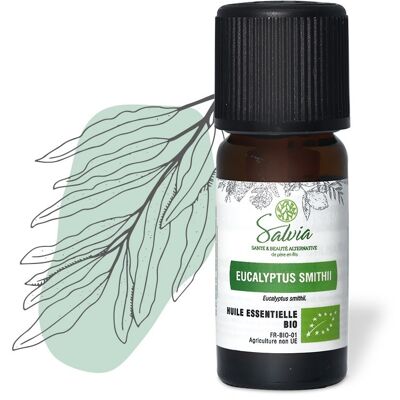 Eucalyptus smithii - Organic essential oil
