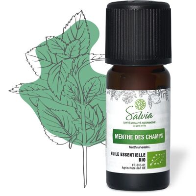Field mint - Organic essential oil