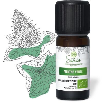 Spearmint - Organic essential oil
