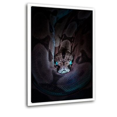 Focused Snake - Canvas with shadow gap