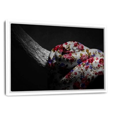 Flower Snake - canvas picture with shadow gap