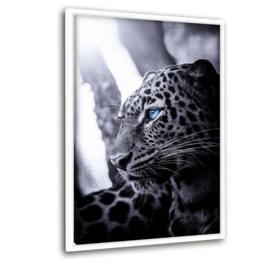 Focused Leopard - Leinwand mit Schattenfuge