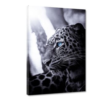 Focused Leopard - Toile avec espace d'ombre 14