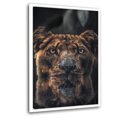 Diving Lion - canvas picture with shadow gap
