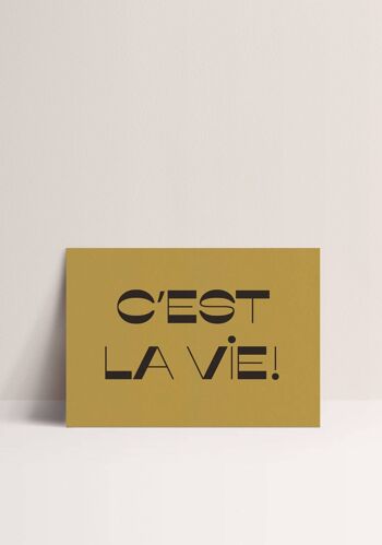 Poster - C'est la Vie 1