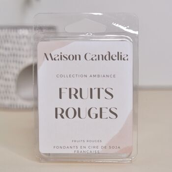 Tablettes fondants parfumés 60g 4