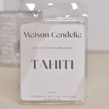 Tablettes fondants parfumés 60g 7