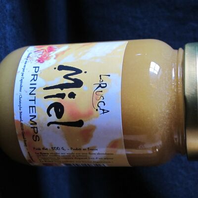 Spring Honey - 500 g