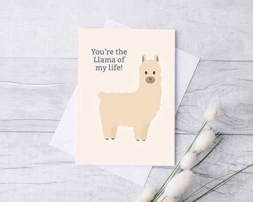 Llama Card. Valentines, Anniversary, birthday.