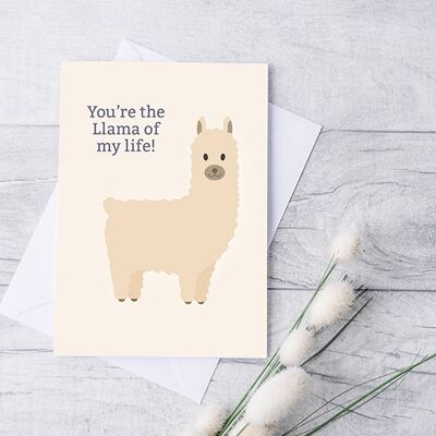 Llama Card. Valentines, Anniversary, birthday.