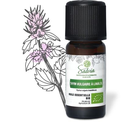 Thym vulgaire à linalol - Huile essentielle bio