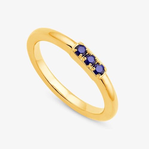 Jodhpur Sapphire Bar Ring