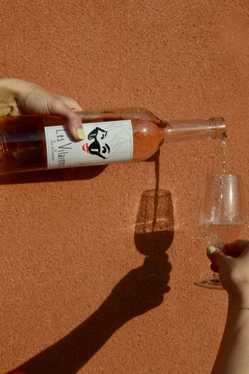 Les Vilaines 2022 Vin rosé Coteaux d'Aix en Provence - 75cl 4