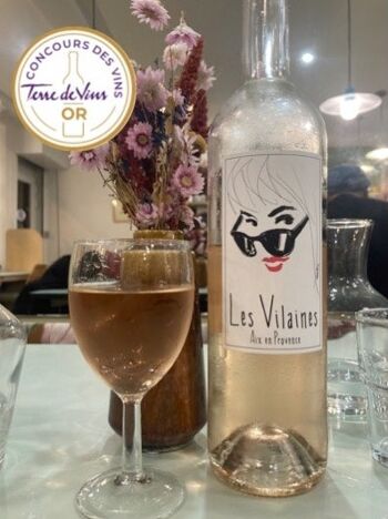 Les Vilaines 2022 Vin rosé Coteaux d'Aix en Provence - 75cl 7