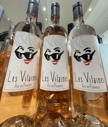 Les Vilaines 2022 Vin rosé Coteaux d'Aix en Provence - 75cl 8