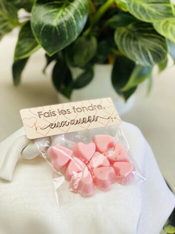 Fondant cœur Saint Valentin,  Parfum d'ambiance Senteur Pomme d'Amour, Cadeau Couple Amoureux, Sachet de 9 2