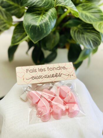 Fondant cœur Saint Valentin,  Parfum d'ambiance Senteur Pomme d'Amour, Cadeau Couple Amoureux, Sachet de 9 3