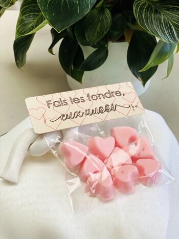 Fondant cœur Saint Valentin,  Parfum d'ambiance Senteur Pomme d'Amour, Cadeau Couple Amoureux, Sachet de 9 5