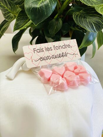 Fondant cœur Saint Valentin,  Parfum d'ambiance Senteur Pomme d'Amour, Cadeau Couple Amoureux, Sachet de 9 6