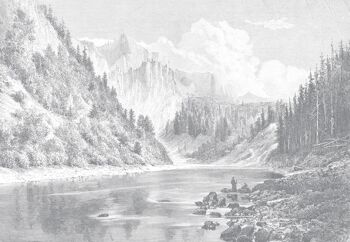 Papier Peint Panoramique Gravure - Montana - Gris Tourterelle 2