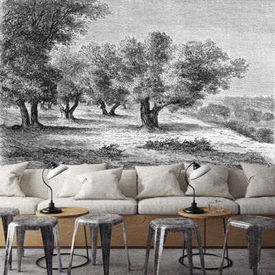 Panoramic Engraving Wallpaper - The Olive Trees - Black