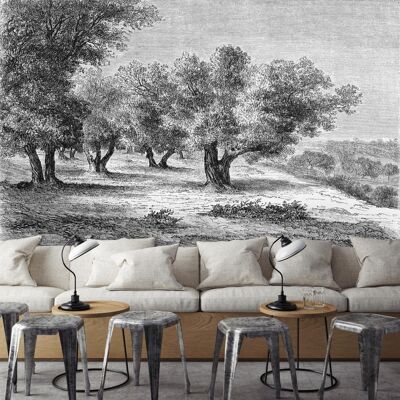 Panorama-Gravurtapete – Die Olivenbäume – Schwarz