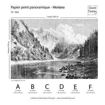 Papier Peint Panoramique Gravure - Montana - Noir 3