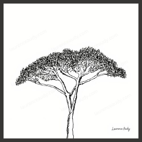 AFFICHE DESSIN POETIQUE ARBRE N°07