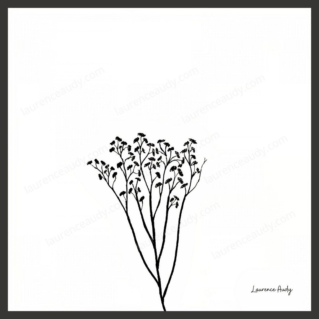 RAHMEN ODER POSTER POETISCHE PFLANZENZEICHNUNG Nr. 01