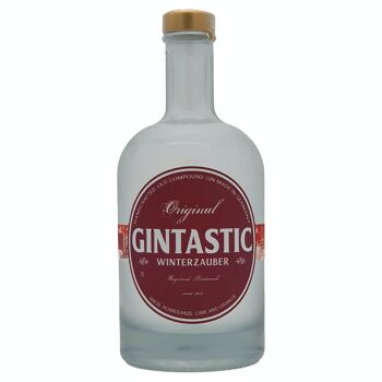 Magie hivernale GINTASTIC 42% vol. alcool 1