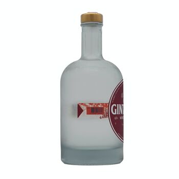 Magie hivernale GINTASTIC 42% vol. alcool 2