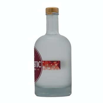 Magie hivernale GINTASTIC 42% vol. alcool 3