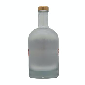 Magie hivernale GINTASTIC 42% vol. alcool 4