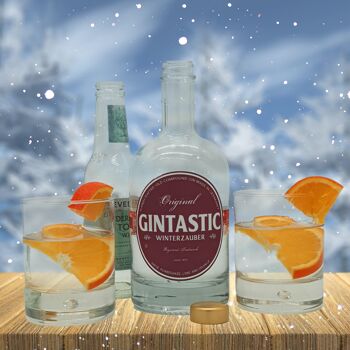 Magie hivernale GINTASTIC 42% vol. alcool 5