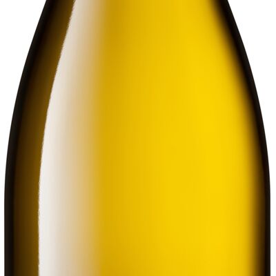 TWIN TchinTchin 2023 - White French Wine - 75cl