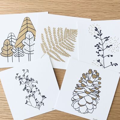 Tarjetas - Lote de 5 tarjetas botánicas