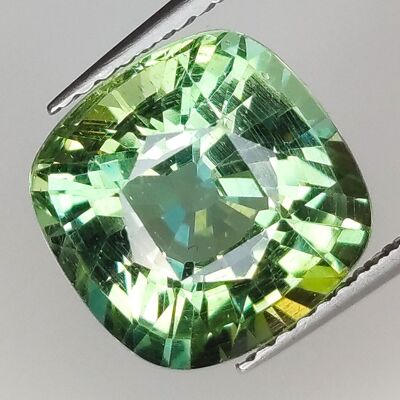 5.82ct Apatite Verte Coupe Coussin 10.5x10.5mm