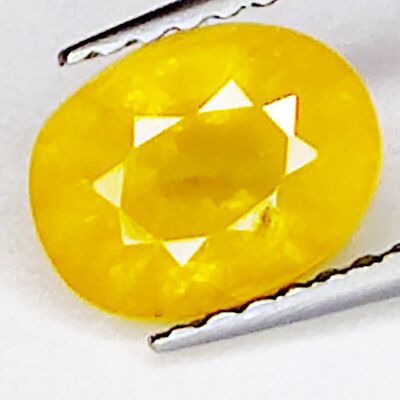 Saphir Jaune 1.76ct taille ovale 7.6x5.8mm