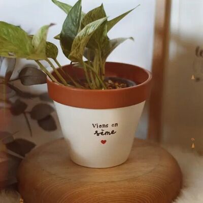 Flower pot, flowerpot "Come let's sow ♥"
