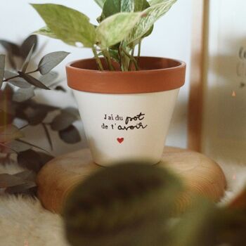 Pot de fleur, cache-pot "J'ai du pot de t'avoir ♥", Cadeau original Plant Addict, Plant Lover, Amour, Amitié 6