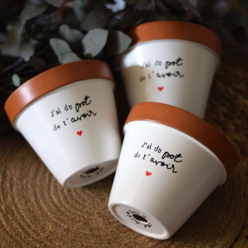 Pot de fleur, cache-pot "J'ai du pot de t'avoir ♥", Cadeau original Plant Addict, Plant Lover, Amour, Amitié