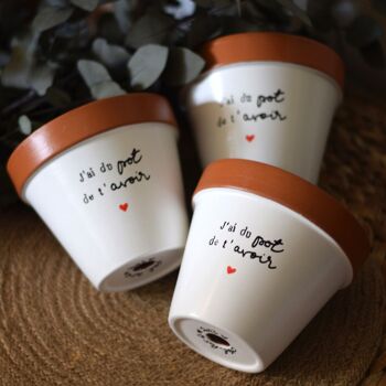 Pot de fleur, cache-pot "J'ai du pot de t'avoir ♥", Cadeau original Plant Addict, Plant Lover, Amour, Amitié 1