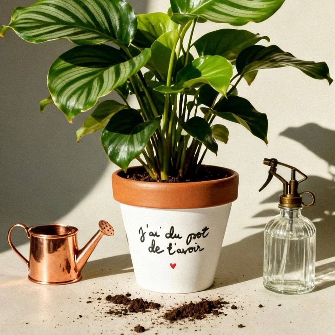 Vaso di fiori - Fioriera "Sono fortunato ad averti ♥" - Regalo originale - Appassionato di piante - Amante delle piante - Amore - Amicizia - San Valentino