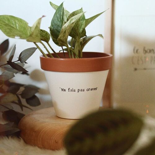 Pot de fleur, cache-pot "'Me fais pas crever", Cadeau Plant Addict, Plant Lover, pot de fleur humour